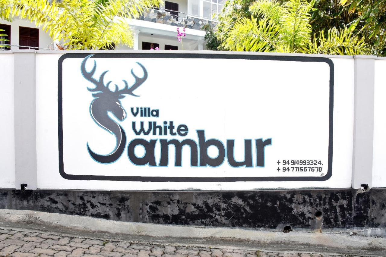 Villa De White Sambur Hikkaduwa Eksteriør bilde