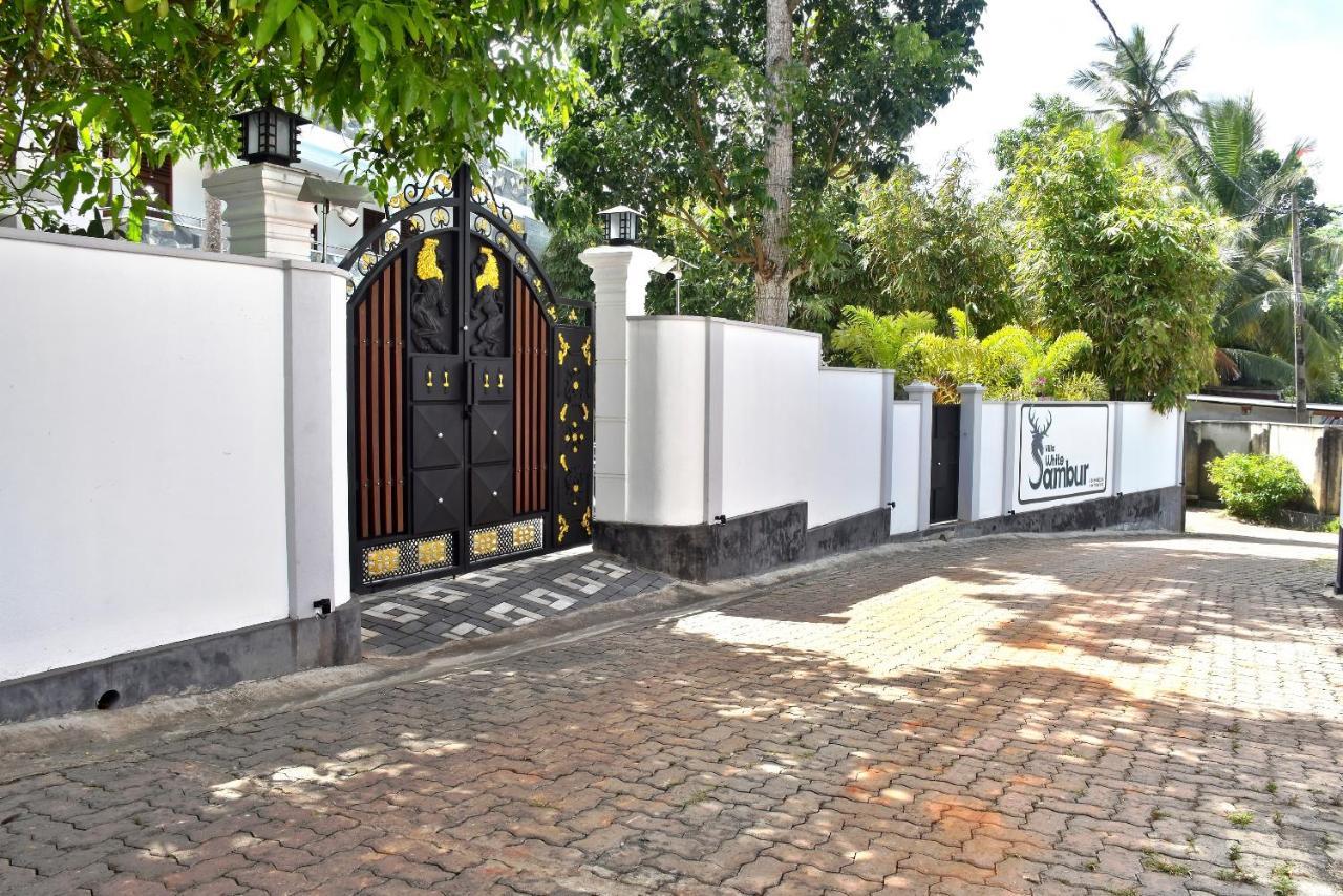 Villa De White Sambur Hikkaduwa Eksteriør bilde